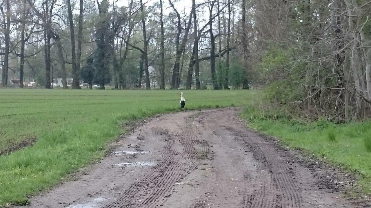 Вилла Bleichehof Бург Экстерьер фото